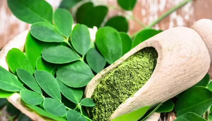 8 DIY Ways To Use Moringa Powder for Skin and Hair