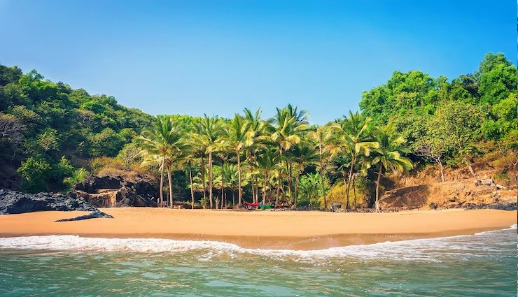 goa popular beaches,best beaches in goa,goa beach travel guide,famous beaches in goa,top beaches to visit in goa,baga beach goa,candolim beach goa,calangute beach goa,goa beaches for water sports,arambol beach goa,vagator beach goa,goa beach resorts,anjuna beach goa,goa beach nightlife,south goa beaches,peaceful beaches in goa,family-friendly beaches in goa,goa beach tourism,top attractions goa beaches,goa beach activities