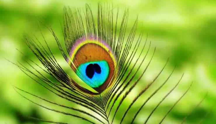 astrology tips,astrology tips in hindi,navratri 2020,good luck tips