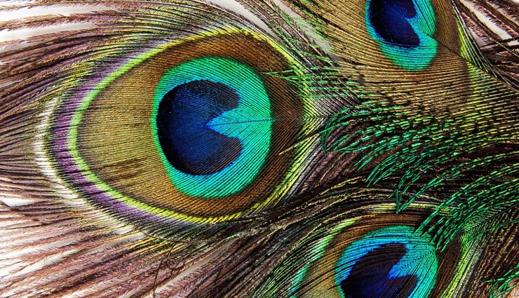 vastu tips,vastu tips in hindi,prosperous 2021,positivity in life,things bring positivity