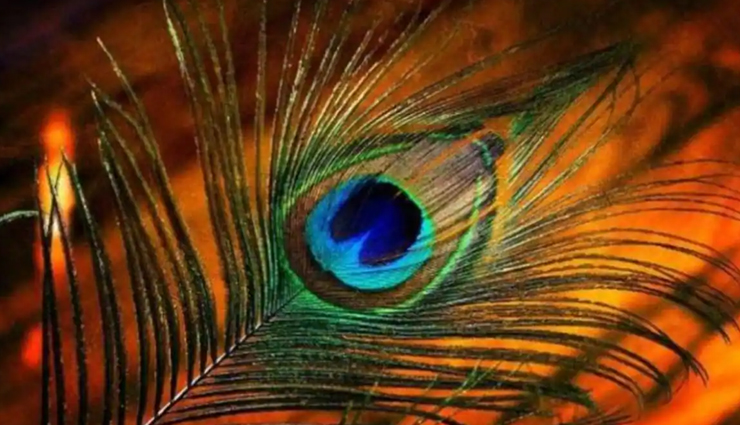 आने वाले साल को खुशनुमा बनाने के लिए घर ले आए ये 7 चीजें, बनी रहेगी बरकत vastu tips,vastu tips in hindi,auspicious things,positivity in life