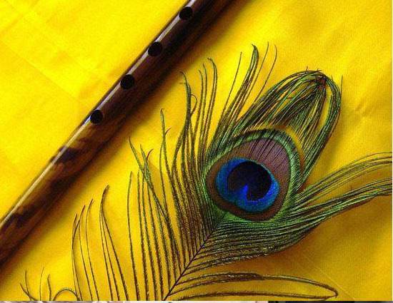 morpankh,astrology,astrology tips