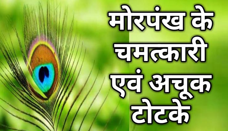 मोरपंख के चमत्कारिक उपाय चमकाएंगे आपकी किस्मत, आइये जानें