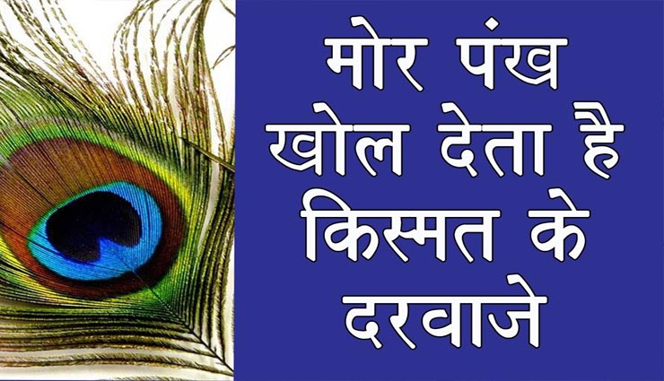 मोर पंख दूर करेगा आपके जीवन से दुख-दर्द, जानें कैसे