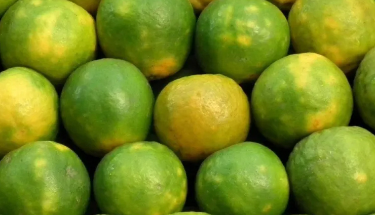 मानसून के दिनों में ऐसा रखें अपना आहार, मौसमी बीमारियों से होगी सुरक्षा
foods to eat in rainy season,healthy living,Health tips