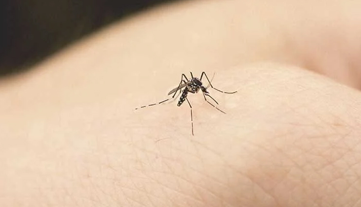 कर रहे हैं गर्मियों की छुट्टियों में घूमने जाने की प्लानिंग, यात्रा के दौरान रखें इन बातों का ध्यान summer vacation tips,travel during summer,summer travel essentials,summer vacation planning,summer travel safety tips,packing for summer vacation,budget summer vacation,summer vacation destinations,summer road trip ideas,hot weather travel tips