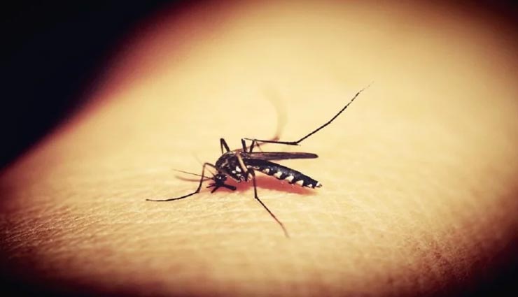 weird news,weird person,deadly fart,uganda man,fart kill mosquitoes ,अनोखी खबर, अनोखा आदमी, युगांडा का आदमी, जहरीली गैस, फार्ट से मच्छरों की मौत