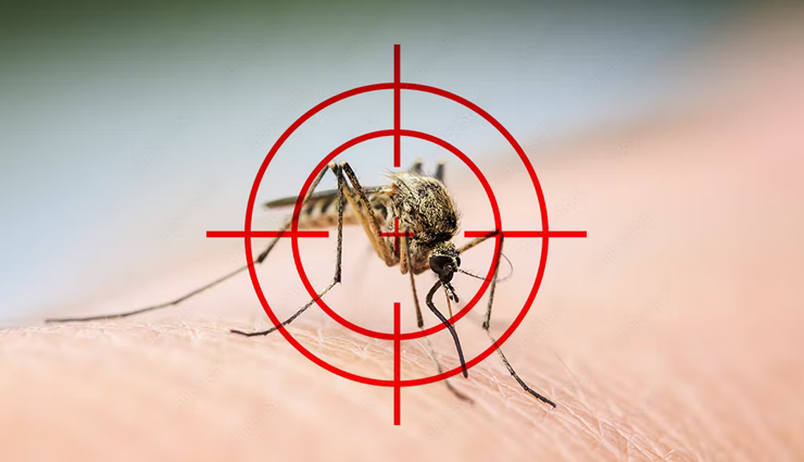 मच्छर निरोधकों में होता है भारी केमिकल, रोकथाम के लिए अपनाए यह घरेलू उपाय