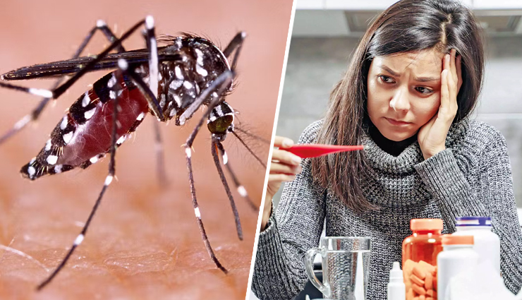 कई खतरनाक बीमारियों का कारण बनते हैं मच्छर, शुरू कर दीजिए सावधानी बरतना
