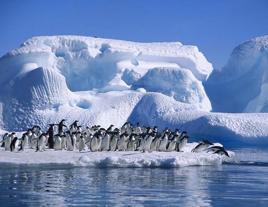 Love Winters, These 5 Places are For You