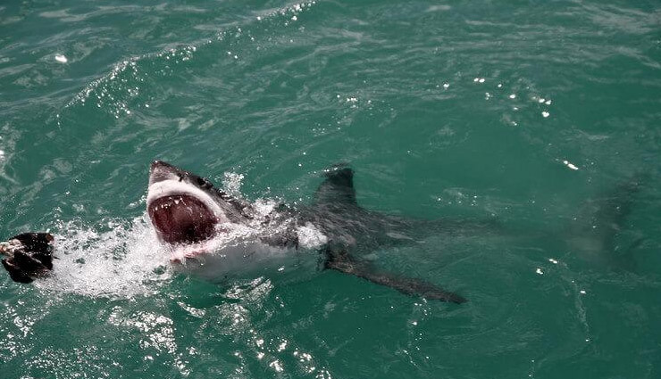 5 Most Dangerous Beaches in The World