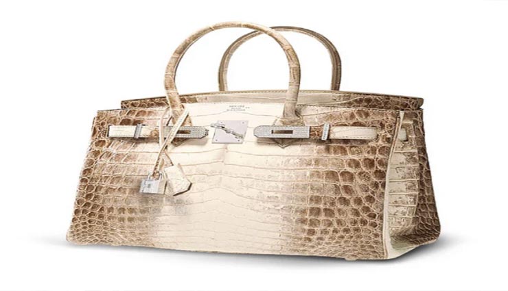 अनोखा बैग जो हुआ था करोड़ों में नीलाम, बना दुनिया का सबसे कीमती