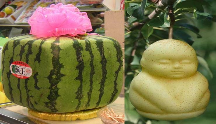 You Will Be Shocked To Know The Prices of These 5 Fruits from Around The World