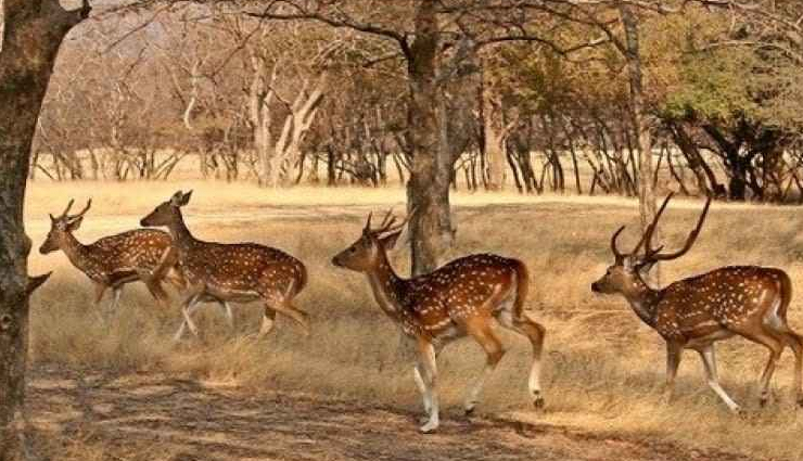 monsoon destinations in rajasthan,udaipur monsoon travel,mount abu rainy season,jaipur monsoon attractions,jaisalmer during monsoon,bundi monsoon tourism,rainy season in rajasthan,best monsoon spots rajasthan,rajasthan monsoon festivals,top monsoon places rajasthan