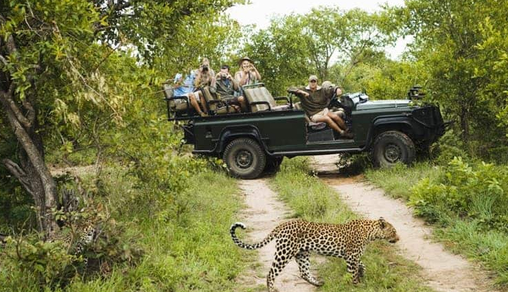 mount abu attractions,things to do in mount abu,mount abu sightseeing,top tourist spots in mount abu,best viewpoints in mount abu,mount abu must-visit places,hidden gems of mount abu,explore mount abu,mount abu travel guide,iconic landmarks in mount abu,mount abu hill stations,popular destinations in mount abu,mount abu weekend getaways,historic sites in mount abu,nature trails in mount abu