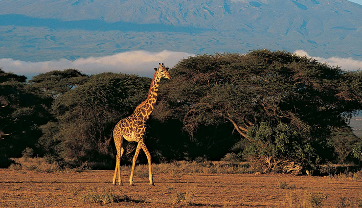 natural wonders of africa,must visit natural wonders of africa,africa,africa tourism,tourist places in africa,travel,tavel guide,travel tips