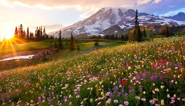 camping destinations,camping destinations in us,dangerous camping destinations in us,us travel,travel guide,travel tips,holidays