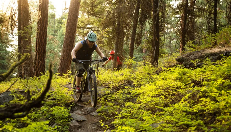 things to do in jim corbett national park,adventure activities in jim corbett,wildlife safari in jim corbett,relaxation and rejuvenation in jim corbett,camping in jim corbett,trekking in jim corbett,birdwatching in jim corbett,cultural experiences in jim corbett,exploring nearby attractions in uttarakhand,accommodation options in jim corbett