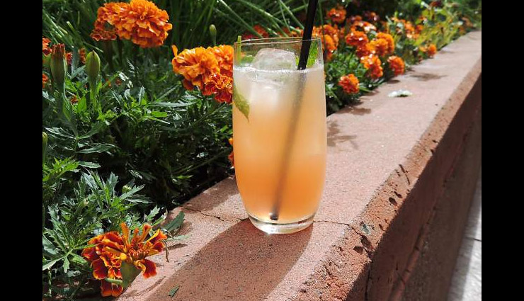 Recipe- Mountain Mojito Mocktail