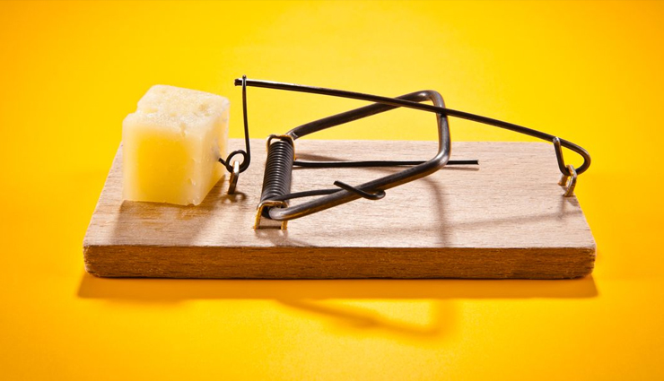 methods to get rid of mice from home,tips to get rid of mice,mouse in house,household tips,home decor tips,natural methods to get rid of mice