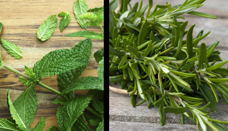 diy mouthwash for healthy gums,healthy living,Health tips,fitness tips