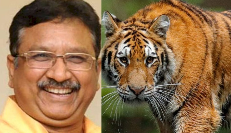 38 टाइगर की मौत गंभीर बात नहीं, हर साल 40-45 मरने चाहिए : मध्य प्रदेश वन मंत्री