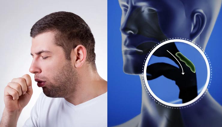 विश्व स्वास्थ्य दिवस : ये आहार बनते हैं फेफड़ों में बलगम की समस्या का कारण