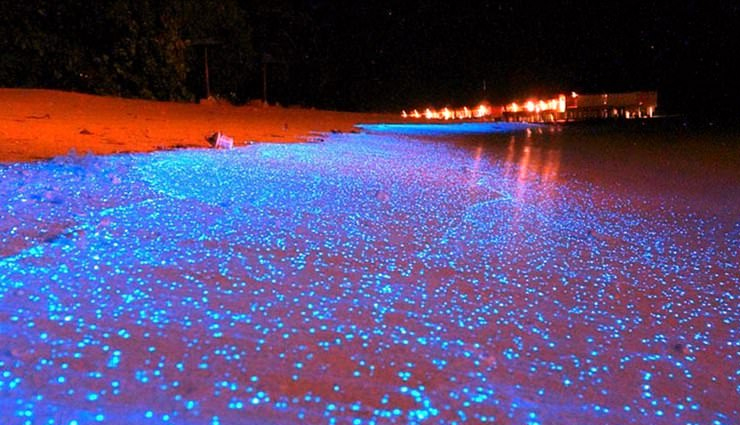 beautiful beaches in maldives,best beaches to explore in maldives,top beaches in maldives,maldives beach destinations,must-visit maldives beaches,honeymoon beaches in maldives,maldives beach guide,scenic beaches in maldives,hidden beaches in maldives,romantic beaches in maldives