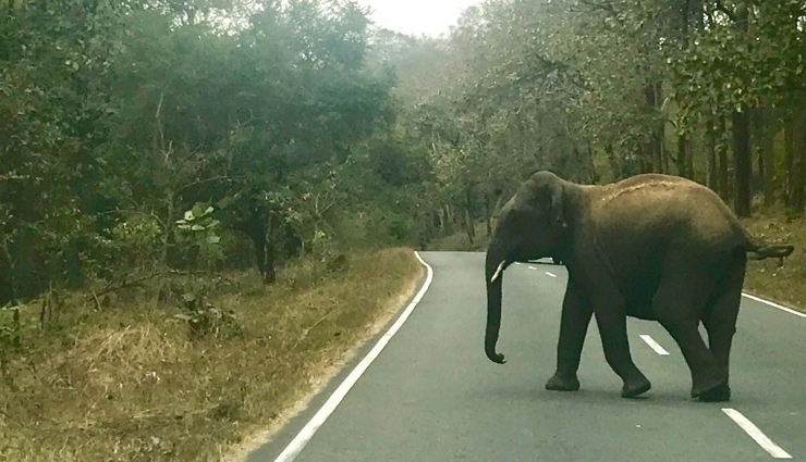 attractions in tamil nadu,tamil nadu tourism,tourist places in tamil nadu,tamil nadu,india tourist,tourist places in india,travel,holidays