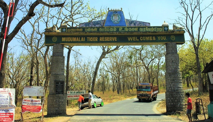 ooty,spots to visit in ooty,ooty travel,ooty travel tips,travel guide,travel,tourism