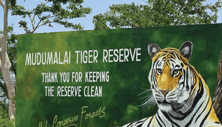 nagarhole,places to visit near nagarhole,coorg tourism,wayanad attractions,mysore sightseeing,bandipur national park safari,ooty hill station,kabini river,madikeri travel,mudumalai national park,sakleshpur,shravanabelagola