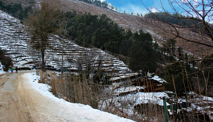 exotic honeymoon destinations in india,best places for romantic honeymoon in india,top exotic honeymoon spots in india,unforgettable honeymoon getaways in india,exquisite indian honeymoon retreats,romantic escapes for honeymooners in india,honeymoon paradise: exotic locations in india,experiencing love: honeymoon places in india,dreamy honeymoon experiences in india,luxury honeymoon destinations in india,indian honeymoon travel: exotic choices,celebrate love: exotic honeymoon journeys in india,honeymoon magic: unique places in india,romantic honeymoon hideaways in india,exotic indian honeymoon exploration