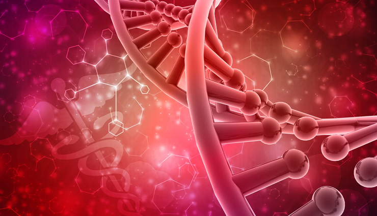 mulethi,health benefits of mulethi,Health tips,fitness tips