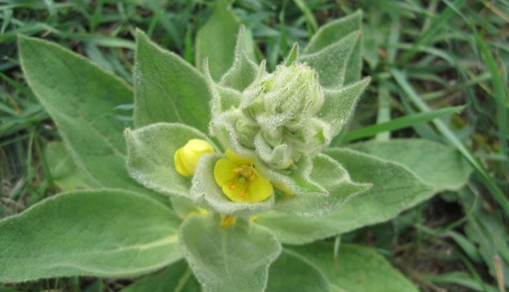 5 kickass ways to fight cold