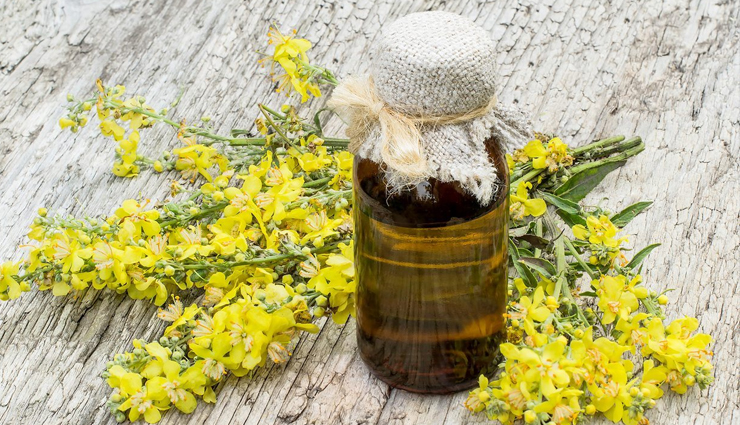 ear infection,home remedies to get rid of ear infection,ear care tips,about ear infection,home remedies for ear infection,Health,Health tips