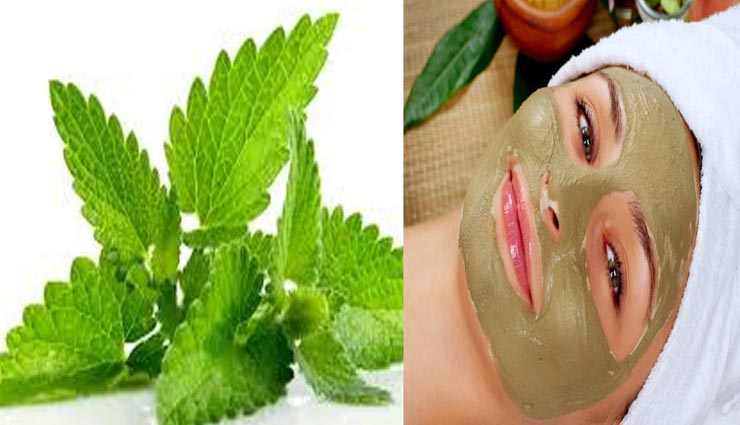 beauty tips,beauty tips in hindi,peppermint facepack,summer beauty tips,summer facepack