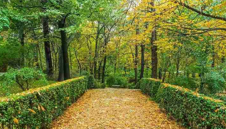 mumbai,places to visit in mumbai,elephanta caves,haji ali dargha,mumba devi temple,juhu beach,maharashtra nature park