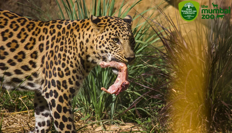 travel,travel guide,mumbai travel,mumbai travel guide,travel with kids