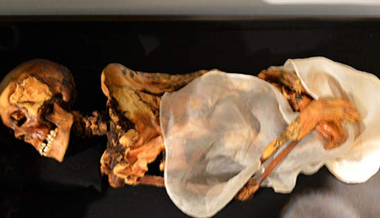 विश्वास / क्या इस ममी की वजह से यहां कोरोना से कोई भी संक्रमित नहीं? coronavirus,southern siberia,corona free,mummy,weird news