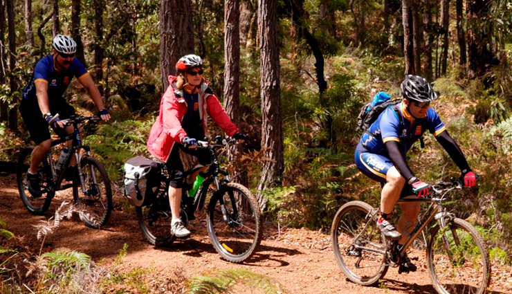 विश्व के 10 सर्वोत्तम साइक्लिंग स्थल, जहाँ साइकिल चलाकर रोमांचित होता है साइकलिस्ट best cycling destinations,top cycling travel spots,ultimate bike-friendly destinations,cycling paradise locations,top-rated cycling vacation spots,ideal places for cycling enthusiasts,must-visit destinations for cycling lovers,cycling adventure travel locations,premier cycling tour destinations,popular cycling holiday spots