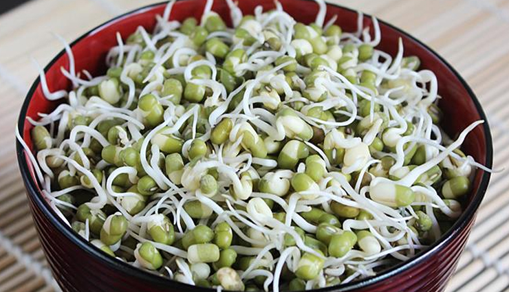 high protein vegetarian food,vegetarian sources of protein,muscle-building vegetarian diet,plant-based protein for muscle gain,vegetarian protein sources,protein-rich vegetarian meals,muscle-building vegetarian recipes,vegetarian protein for muscle growth,vegetarian foods for muscle development,high protein vegetarian dishes,plant-based muscle-building foods,protein-packed vegetarian options,vegetarian diet for muscle gain,vegetarian protein for strength training,protein-rich vegetarian foods for muscle building