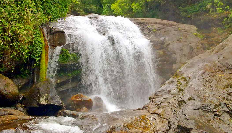 munnar,places to visit in munnar,attukal waterfalls,blossom park,top station,pothamedu view point,tata tea museum,kundala lake,mattupetty dam