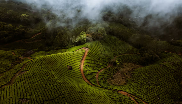 munnar tourist places,best places to visit in munnar,must-visit places in munnar,munnar sightseeing,top attractions in munnar,munnar travel guide,beautiful places in munnar,munnar hill station,things to do in munnar,munnar nature spots,tea plantations in munnar,waterfalls in munnar,adventure activities in munnar,munnar photography spots,best viewpoints in munnar