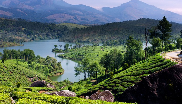 holidays,india,india,places to be visited in india,5 beautiful destinations of kerala,kerala,allepey,wayanad,thekkady,kovalam,munnar,tourist destination,wanderlust,exploring india
