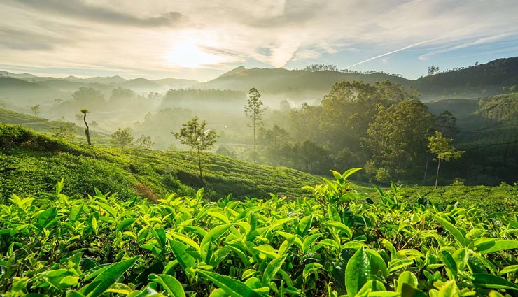 tourist places,indian tourist places,tourist places for mothers,summer tourist places