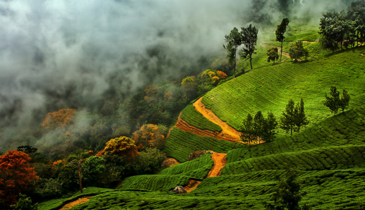 monsoon destinations to visit in india,india tourism,tourist places in india,india tourist places,monsoon travel,travel tips,tourism