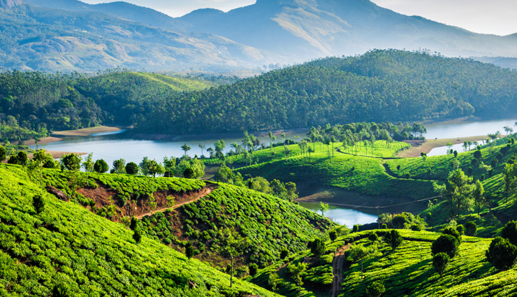 6 Must Visit Tourist Attraction in Munnar