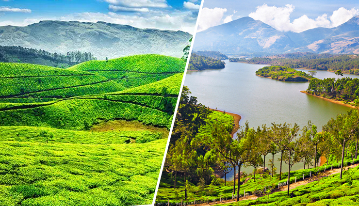 Discover the 8 Best Places to Visit and Explore in Munnar, India