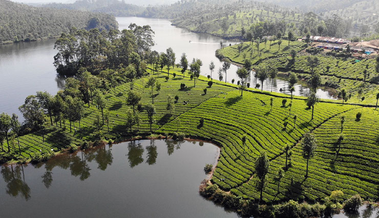 kerala tourism,places to visit in kerala,kerala tourist destinations,best places in kerala,kerala in march,kerala backwaters,munnar,wayanad,kumarakom,kovalam beach,thekkady,varkala,kerala houseboats