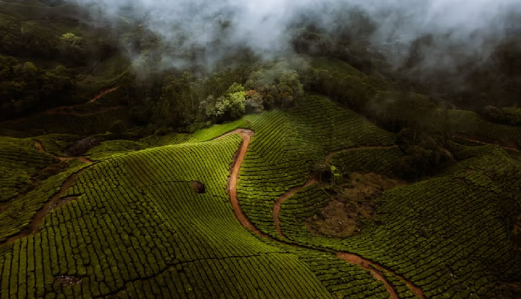 south india hill stations,best hill stations south india,western ghats hill stations,eastern ghats hill stations,south india travel,hill station tourism,tea plantations south india,waterfalls south india,nature retreats south india,top hill stations india